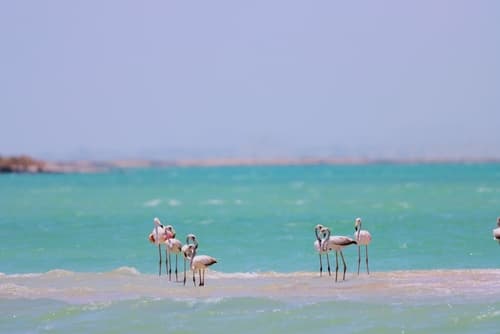 Masirah Island