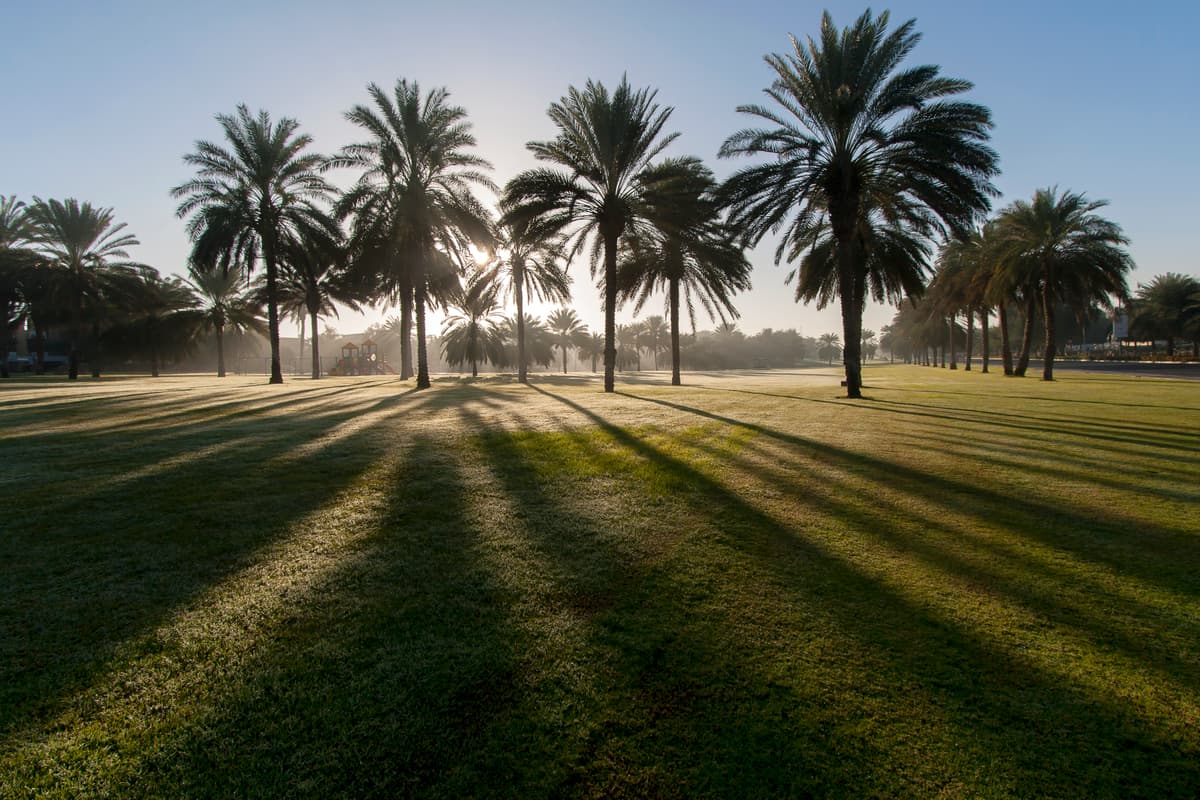 Sahwa Gardens